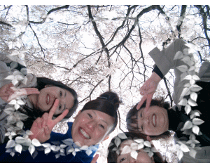 安楽寺桜見上げる2009