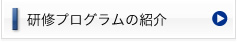 研修プログラムの紹介