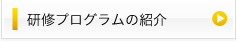 研修プログラムの紹介