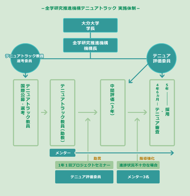 全学推進機構テニュアトラック　実施体制