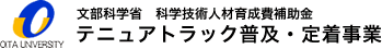 文部科学省　科学技術人材育成費補助金　テニュアトラック普及・定着事業