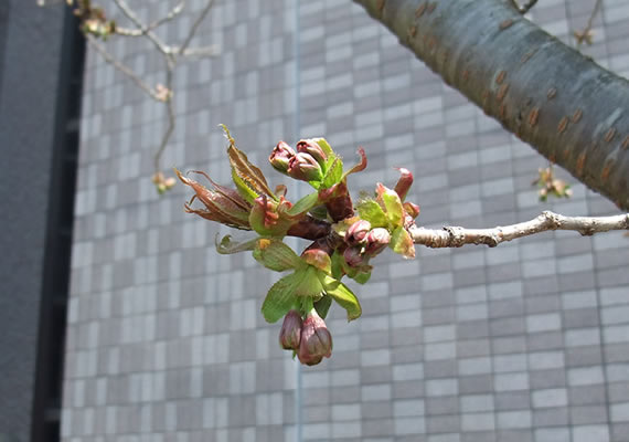 2012.4.5