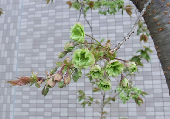 2013.4.4