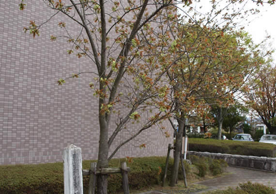 2014.4.7