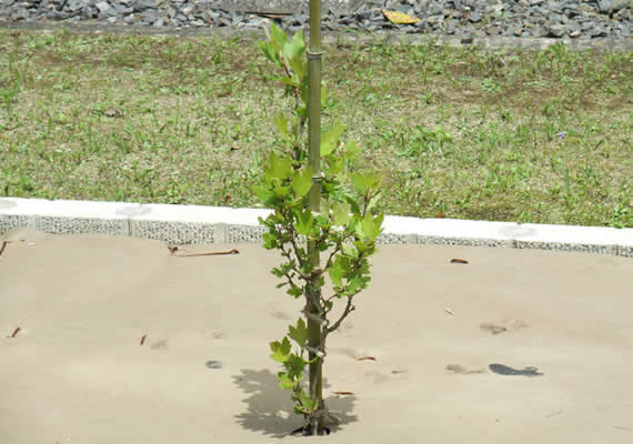 2010.04.30
