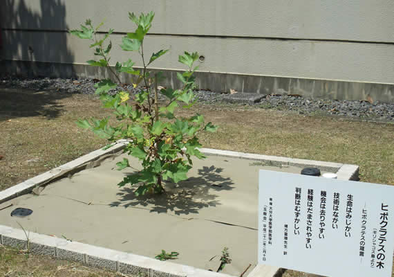 2010.08.18