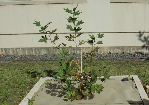 2010.11.10