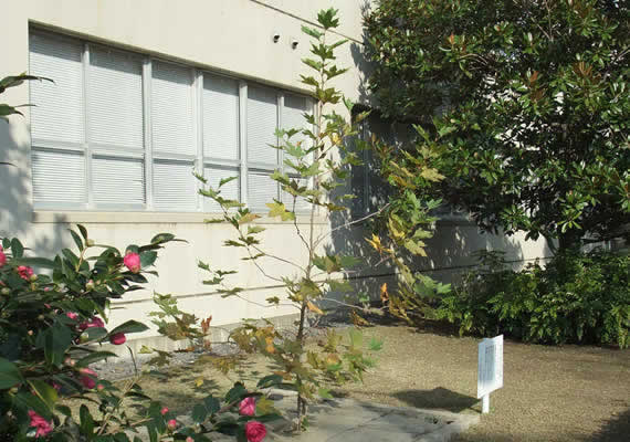 2011.11.22