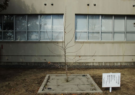 2012.2.9