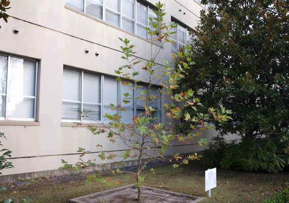 2012.11.15