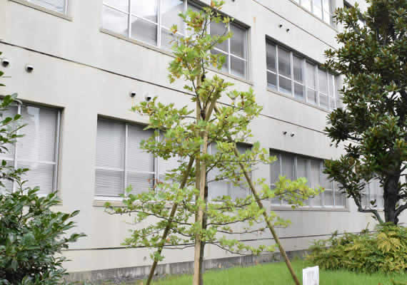 2015.8.7