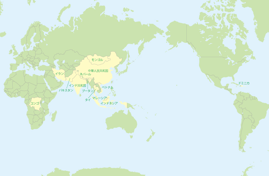 Map Map