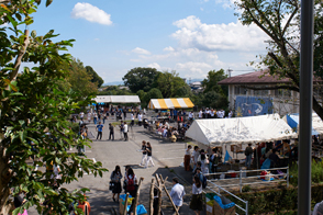 医学部祭