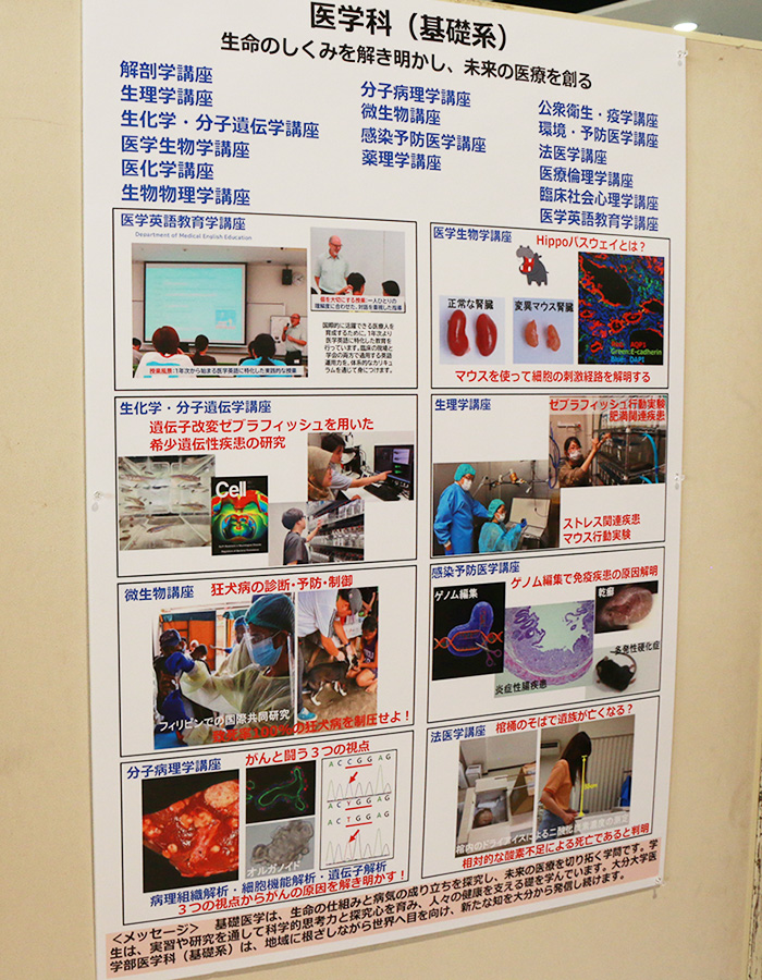 医学科（基礎系）