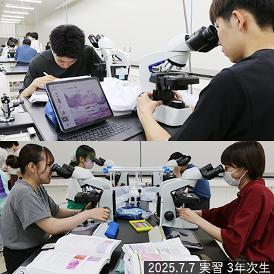 ブログ