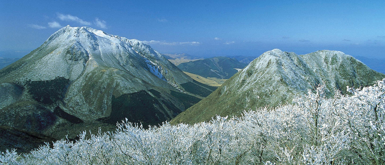 鶴見岳霧氷