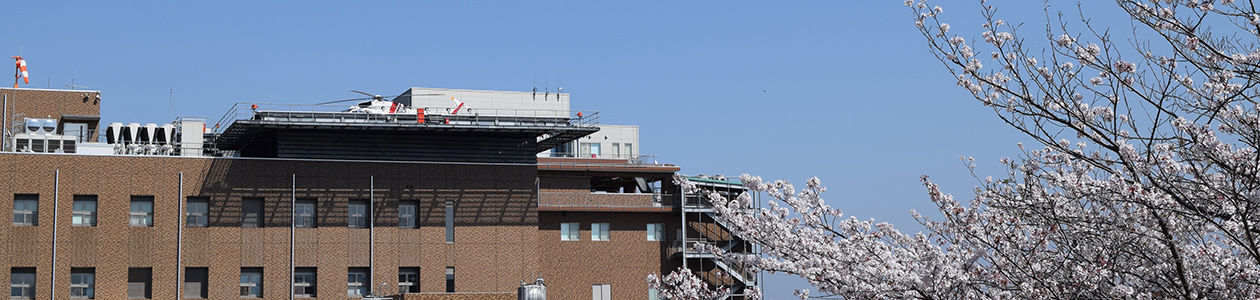 桜と救命救急センター棟