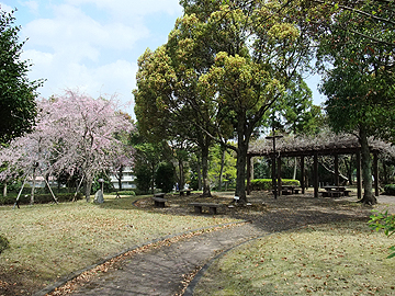 休養広場