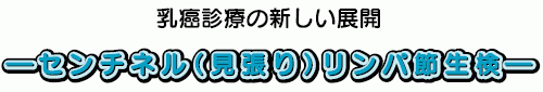 −センチネル(見張り)リンパ節生検−
