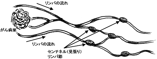 イラスト