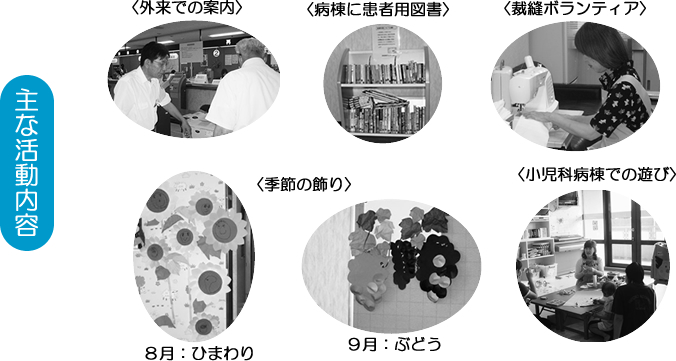主な活動内容