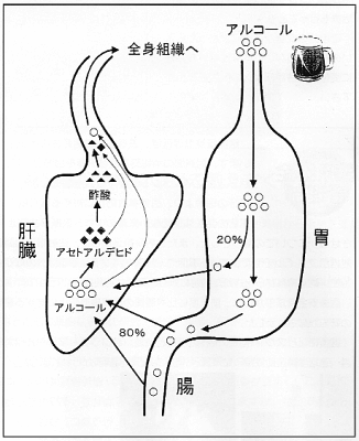 抗生 剤 アルコール