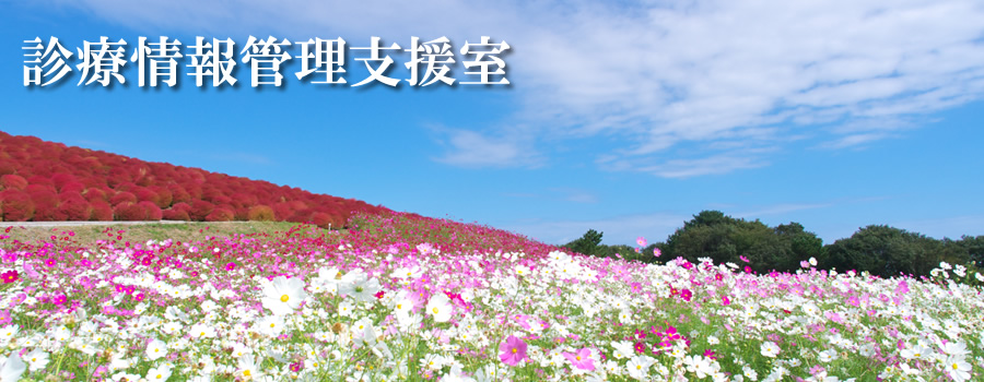 コスモス畑
