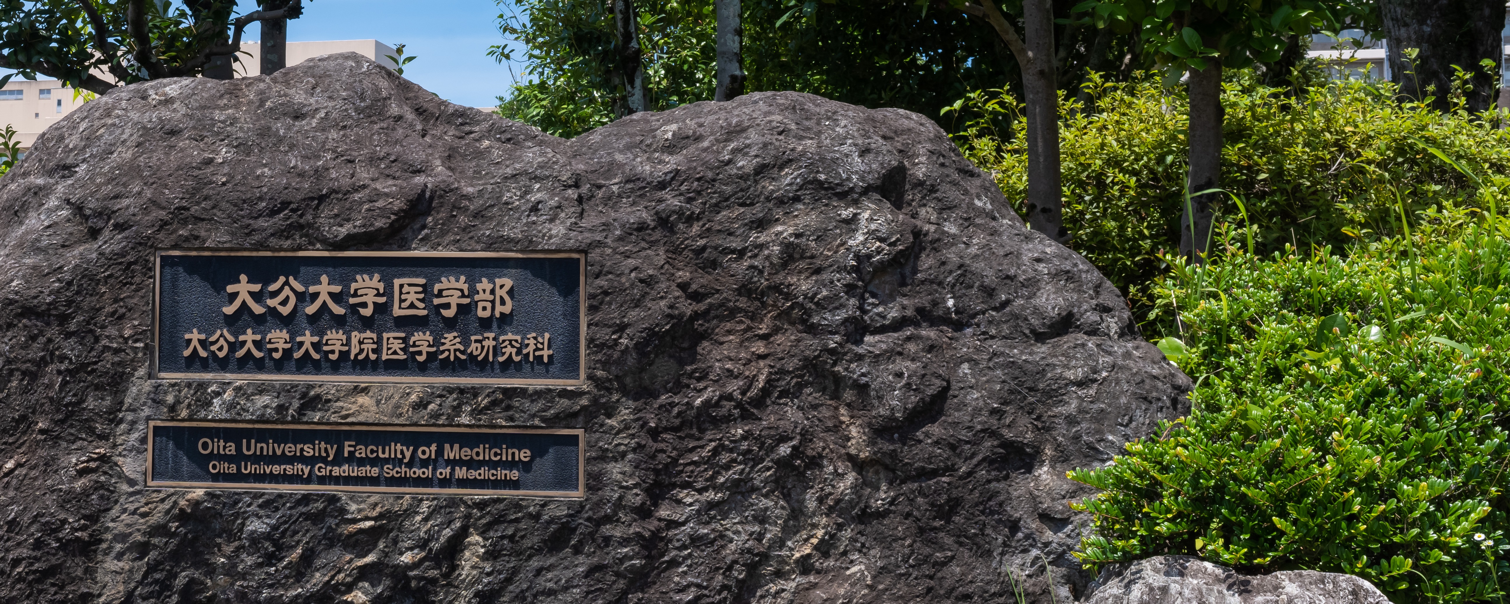 大分大学医学部